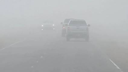 Alerta violeta por niebla: piden extremar cuidados al circular por rutas